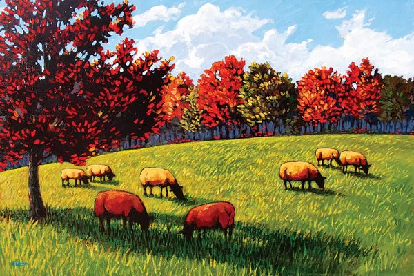 Patty Baker: Sheep Grazing Near Rhinebeck by Patty Baker