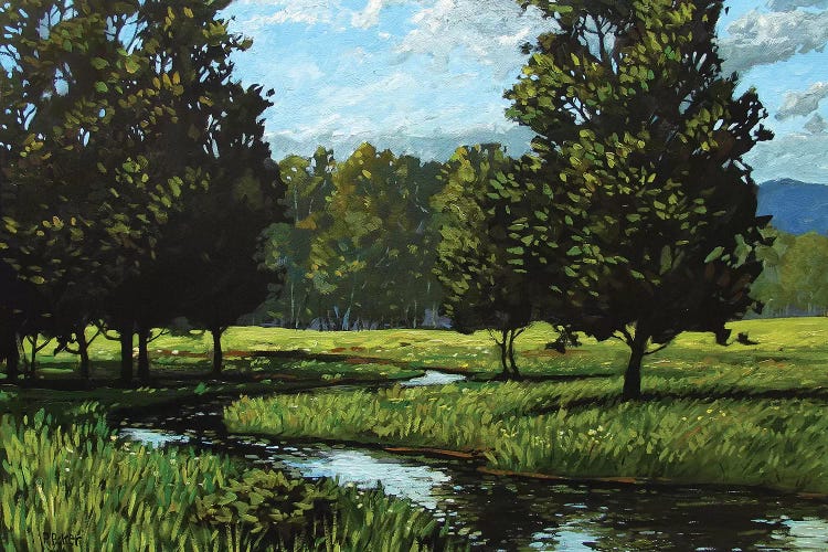 Spring Landscape Near Golden, CO by Patty Baker wall art