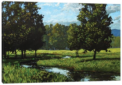 Spring Landscape Near Golden, CO Canvas Art Print - Patty Baker
