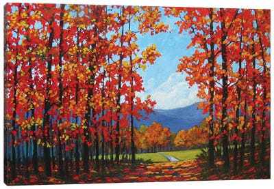 Autumn Path IV Canvas Art Print - Patty Baker