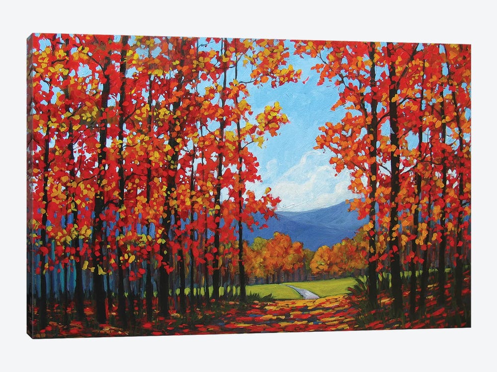 Autumn Path IV by Patty Baker 1-piece Canvas Art