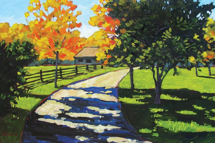 Stevie's Driveway in the Morning  by Patty Baker wall art