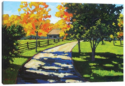 Stevie's Driveway in the Morning  Canvas Art Print - Ombres et Lumières