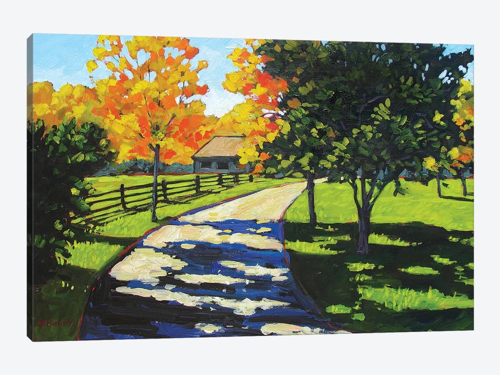 Stevie's Driveway in the Morning  by Patty Baker 1-piece Canvas Artwork