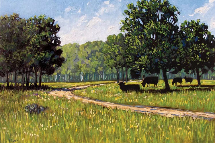 Summer High Noon by Patty Baker wall art