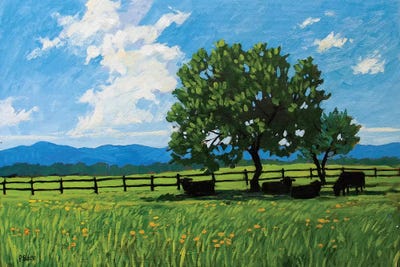 Summer Resting Cows by Patty Baker art print