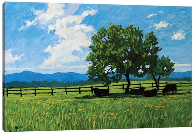 Summer Resting Cows Canvas Art Print - Patty Baker