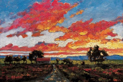 Sunset On The Plains by Patty Baker art print