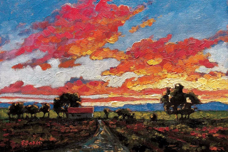 Sunset On The Plains by Patty Baker wall art