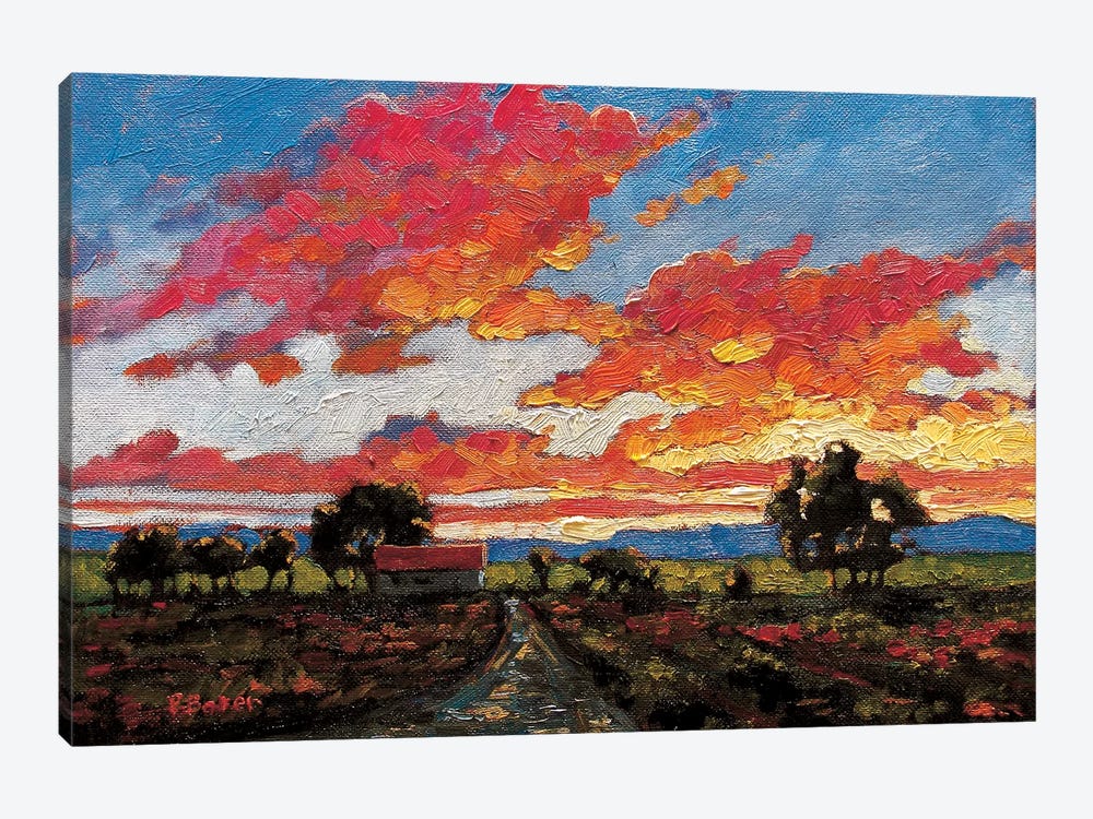 Sunset On The Plains by Patty Baker 1-piece Art Print