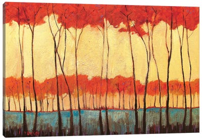 Tall Red Trees Canvas Art Print - Patty Baker
