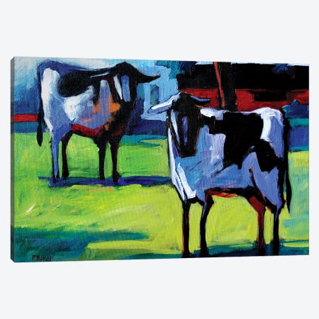 Two Calves Canvas Print #PTB146} by Patty Baker Art Print