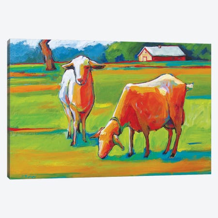 Two Fauve Goats Canvas Print #PTB149} by Patty Baker Canvas Wall Art
