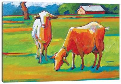 Two Fauve Goats Canvas Art Print - Goat Art