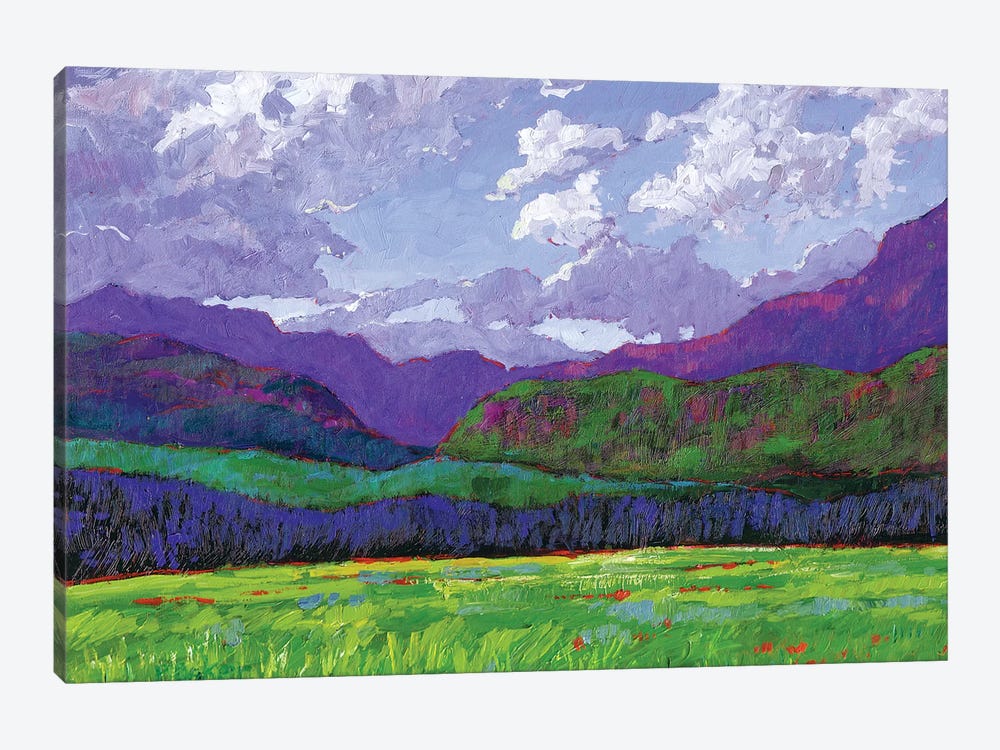 Western Slope Landscape, Colorado by Patty Baker 1-piece Canvas Art Print