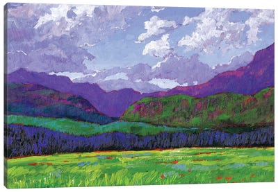 Western Slope Landscape, Colorado Canvas Art Print - Colorado Art