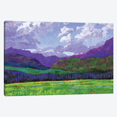 Western Slope Landscape, Colorado Canvas Print #PTB153} by Patty Baker Canvas Print