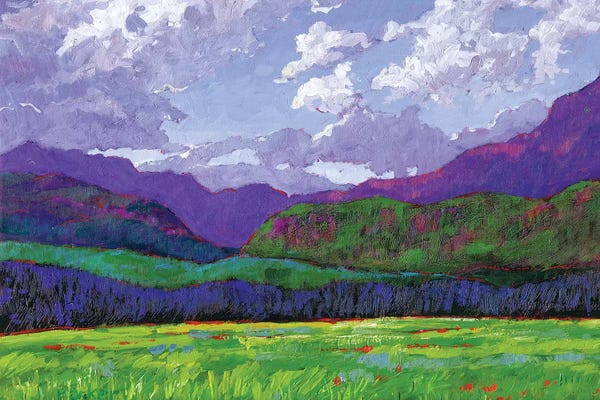 Patty Baker: Western Slope Landscape, Colorado by Patty Baker