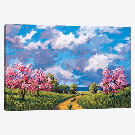 Western Slope Orchard In The Spring Canvas Print #PTB154} by Patty Baker Canvas Art