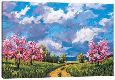 Western Slope Orchard In The Spring Canvas Art Print - Patty Baker