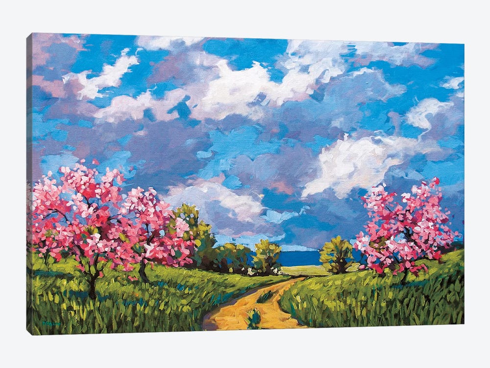 Western Slope Orchard In The Spring by Patty Baker 1-piece Canvas Artwork