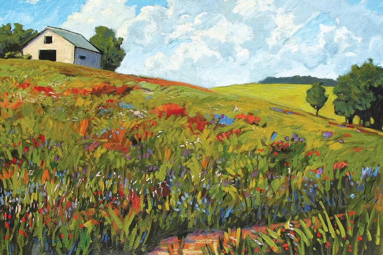 Wildflower Hillside in Boulder County, CO