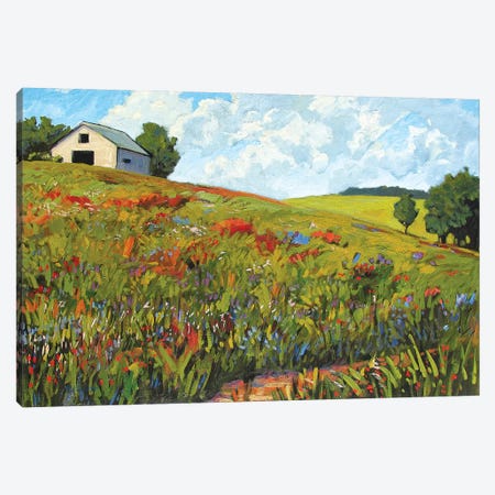Wildflower Hillside in Boulder County, CO Canvas Print #PTB156} by Patty Baker Canvas Artwork
