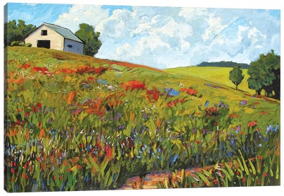 Wildflower Hillside in Boulder County, CO Canvas Art Print - Patty Baker