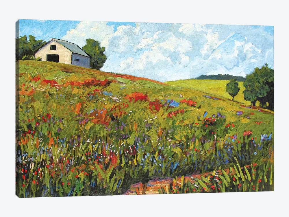 Wildflower Hillside in Boulder County, CO by Patty Baker 1-piece Canvas Artwork