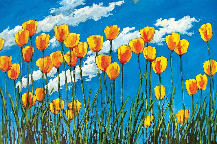 Yellow Tulips on Blue Sky