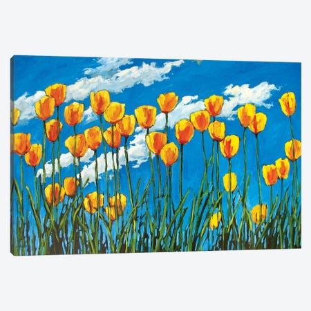 Yellow Tulips on Blue Sky Canvas Print #PTB159} by Patty Baker Art Print