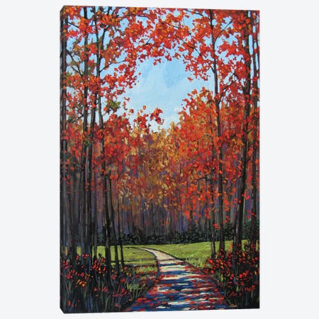 Autumn Path VII Canvas Print #PTB15} by Patty Baker Art Print