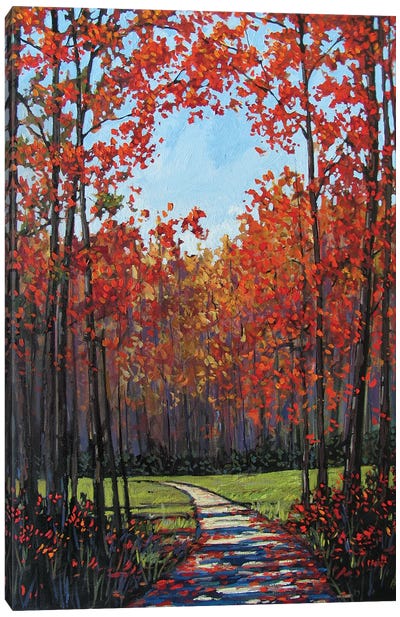 Autumn Path VII Canvas Art Print - Patty Baker