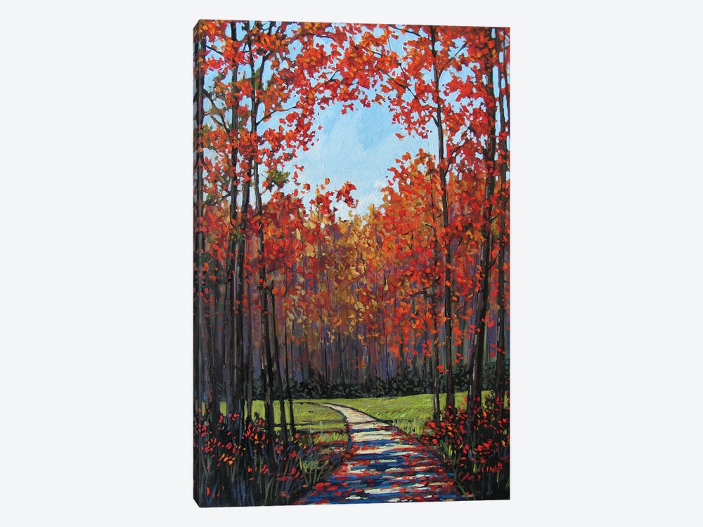 Autumn Path VII by Patty Baker 1-piece Canvas Art Print