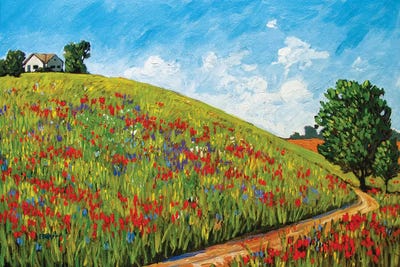 House on a Hill by Patty Baker canvas print