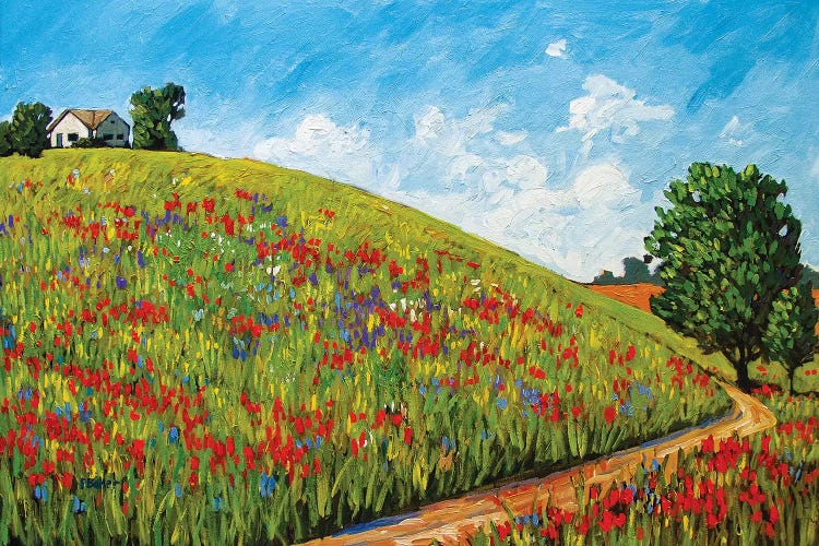 House on a Hill by Patty Baker wall art