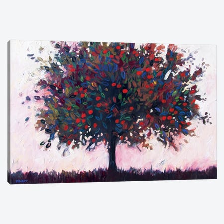 Apple Tree Canvas Print #PTB163} by Patty Baker Canvas Art