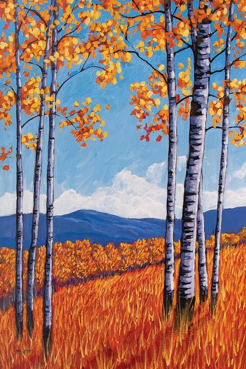 Aspens On the Western Slope, Colorado by Patty Baker wall art