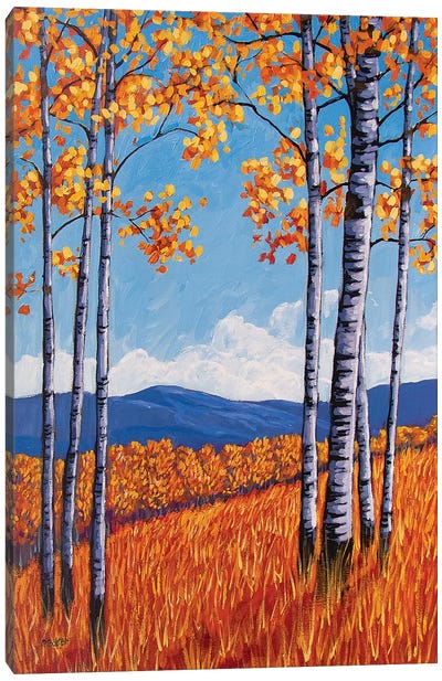 Aspens On the Western Slope, Colorado Canvas Art Print - Orange Art