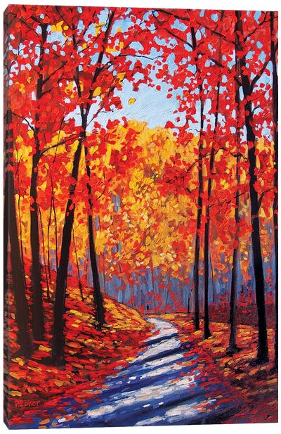 Autumn Path In The Hudson River Valley III Canvas Art Print - Patty Baker