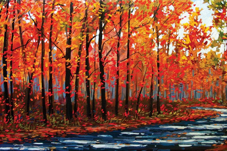 Autumn Path IX - In The Hudson River Valley by Patty Baker wall art