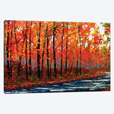 Autumn Path In The Hudson River Valley IX Canvas Print #PTB166} by Patty Baker Canvas Art Print