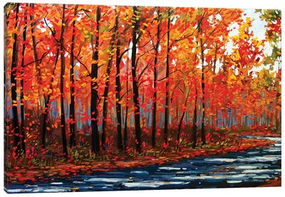 Autumn Path In The Hudson River Valley IX Canvas Art Print - Orange Art