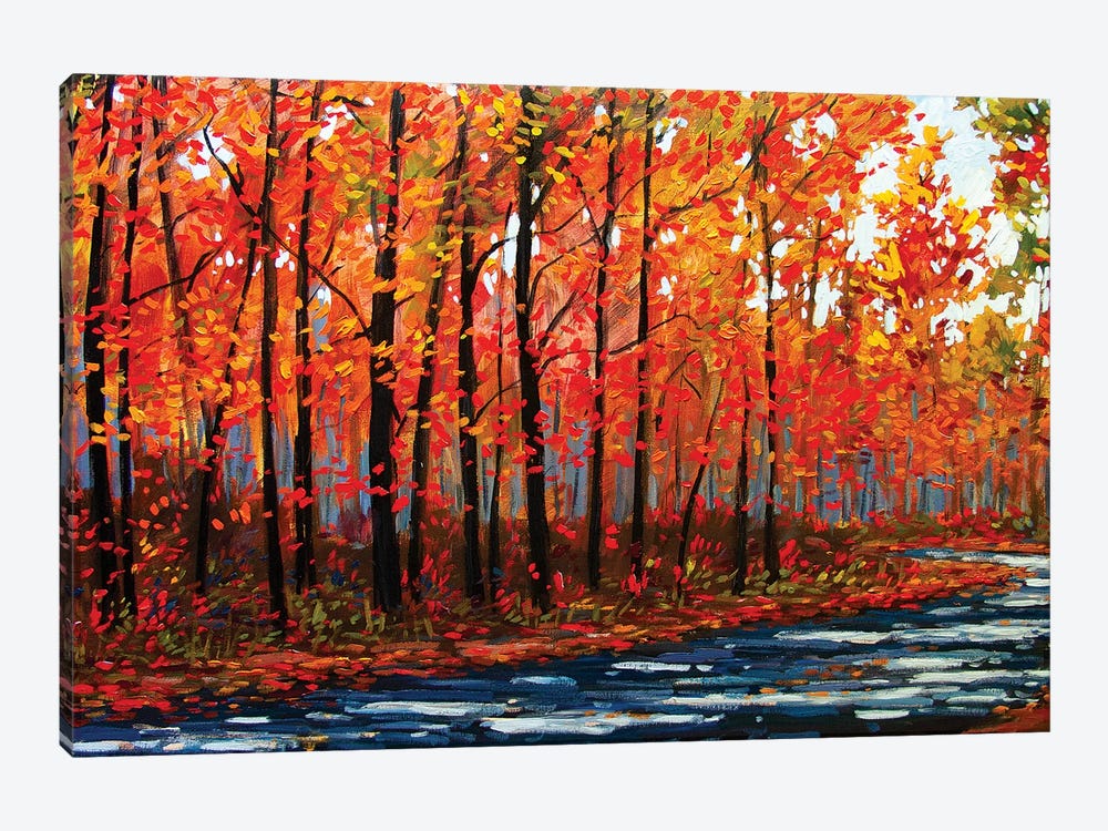 Autumn Path In The Hudson River Valley IX by Patty Baker 1-piece Canvas Art Print