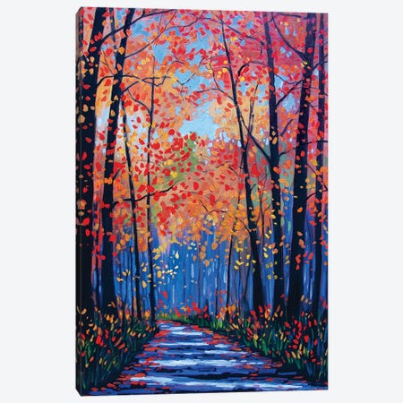 Autumn Path In The Hudson River Valley VIII Canvas Print #PTB167} by Patty Baker Art Print