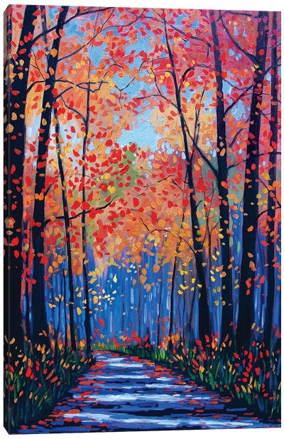Autumn Path In The Hudson River Valley VIII Canvas Art Print - Patty Baker