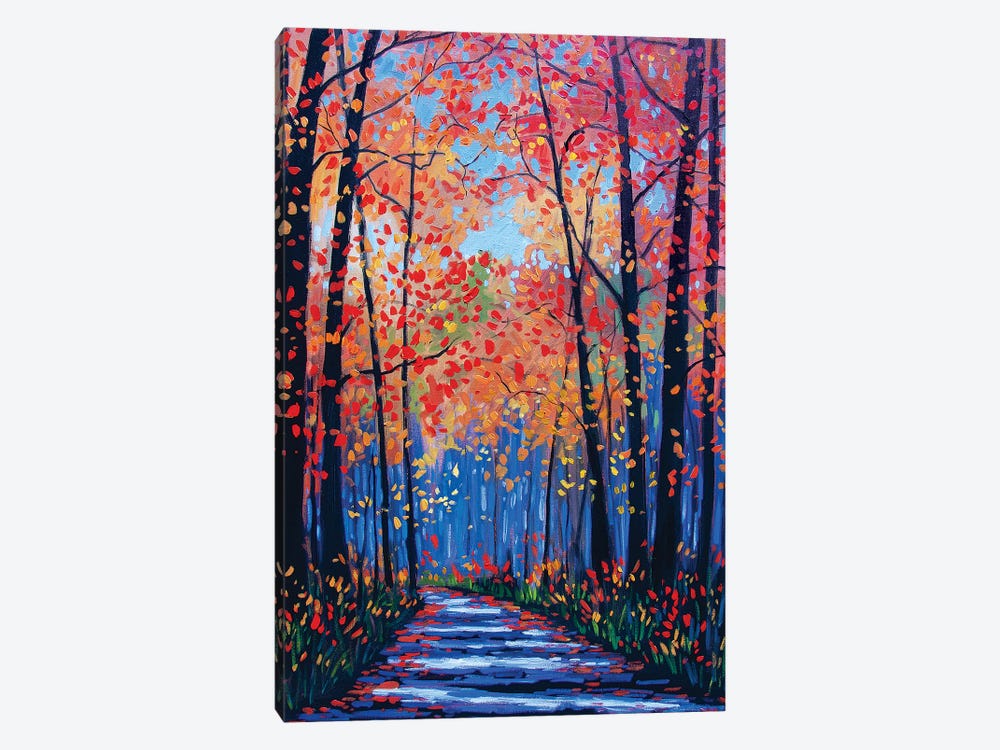 Autumn Path In The Hudson River Valley VIII by Patty Baker 1-piece Canvas Art