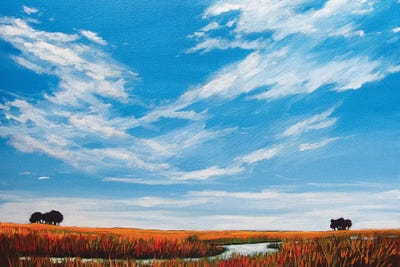 Big Sky Landscape by Patty Baker canvas print