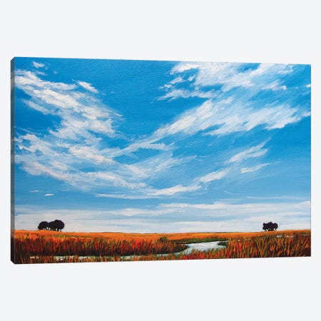 Big Sky Landscape Canvas Print #PTB169} by Patty Baker Canvas Artwork