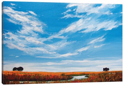 Big Sky Landscape Canvas Art Print - Patty Baker